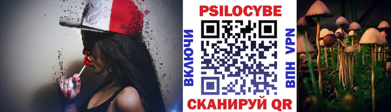 Купить где  Кадников  Псилоцибиновые грибы ЛСД 